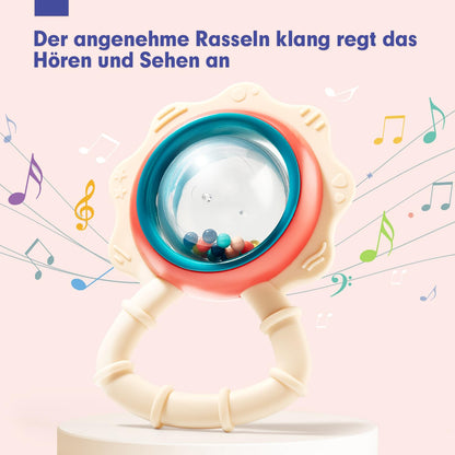 Hahaland Rassel Beißring Baby Set, Silikon Baby Spielzeug Ab 3 6 9 Monate, 10 PCS Shaker Helfen Baby Beim Zahnen Und Greifen, Bpa-Frei Beissring Sensorik Spielzeug Für Neugeborene Kleinkinder Geschenk